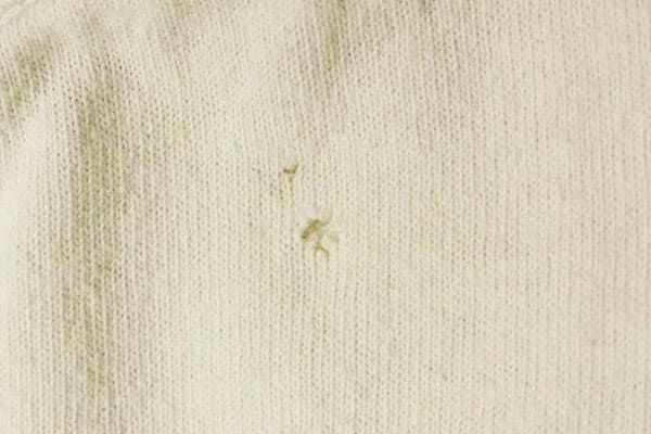 虫食いがあっても買取OK