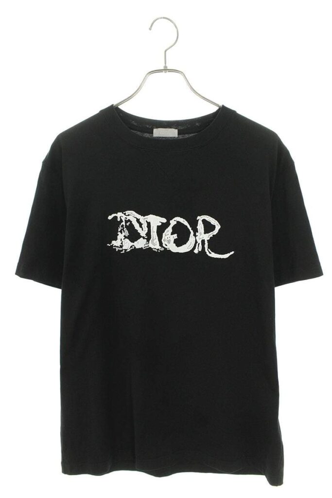 ディオール DIOR 143J685C0677 DIOR AND PETER DOIGオーバーサイズTシャツ