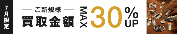 期間限定キャンペーン